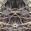 Hidden Patterns