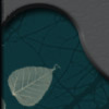Pattern Edge
