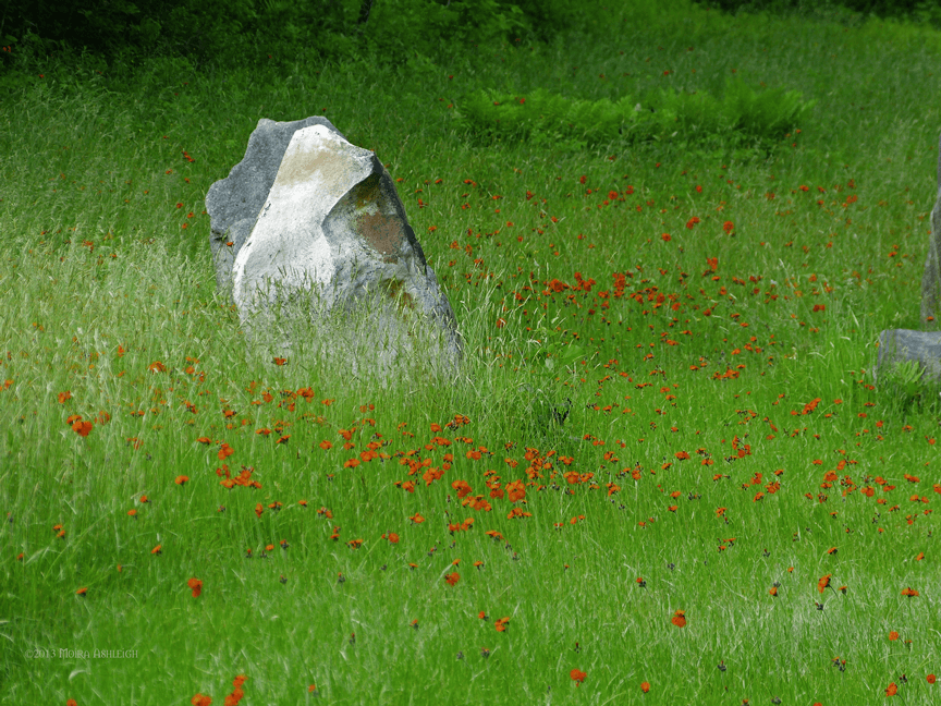 stone and paintbrush