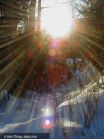 Yule 2005