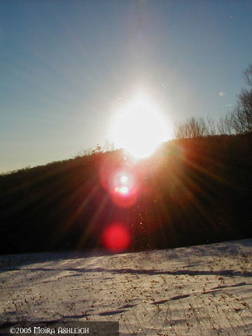 Yule 2005