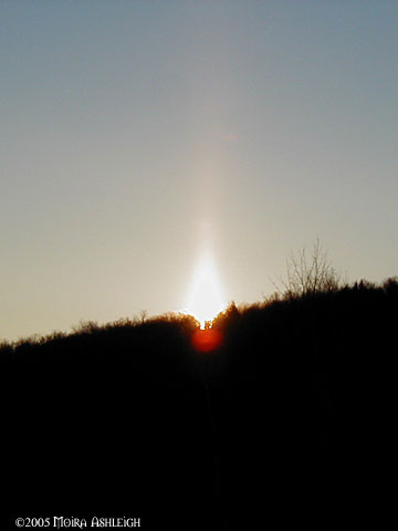 Yule 2005