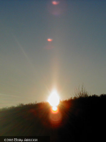 Yule 2005
