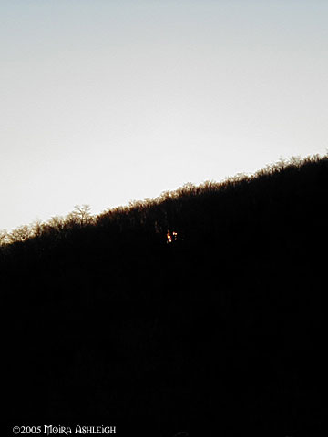 Yule 2005