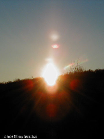 Yule 2005