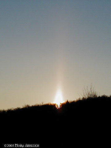 Yule 2005