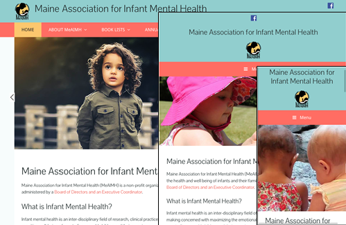 Maine Association for Infant Mental Health